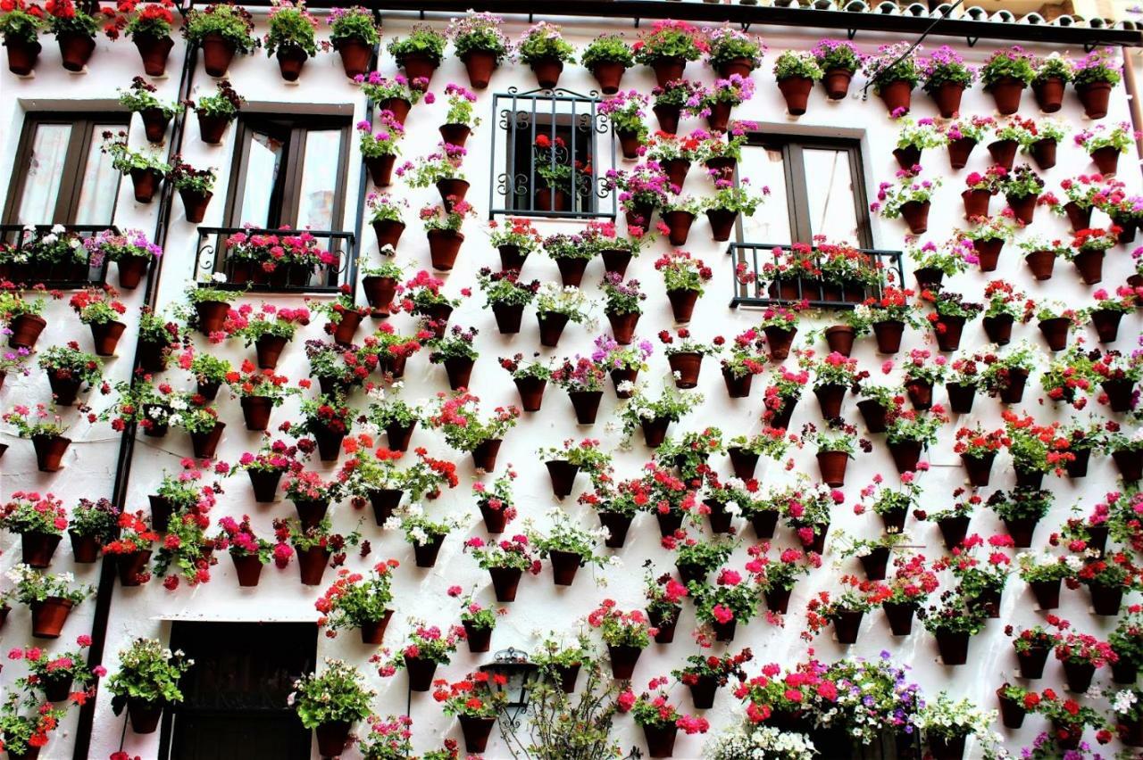 Tendillas Suite Córdoba Exteriör bild